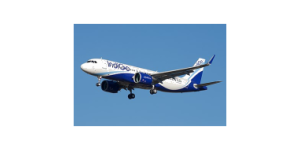 IndiGo logo