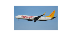 Pegasus Airlines logo