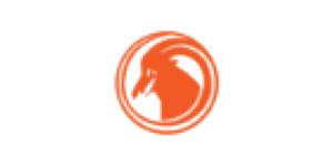 TAAG Angola Airlines